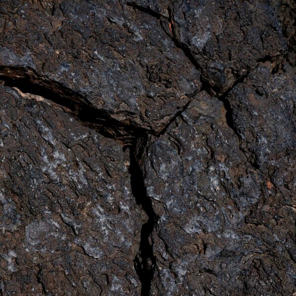 Cracking the Code Beneath Our Feet: How Plate…