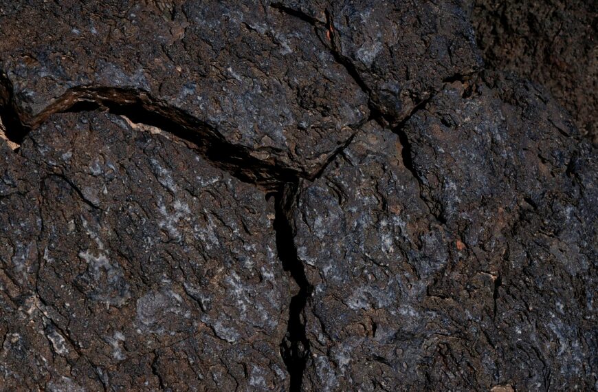 Cracking the Code Beneath Our Feet: How Plate Tectonics Shape the Earth